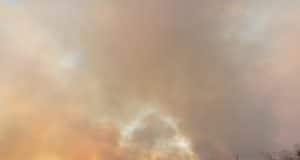 Tragiese lot van ons Boere