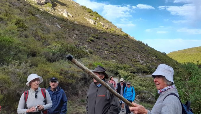 Strandveld Hiking Club – The beauty of Fernkloof