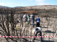 Lang Arm van die Gereg – Michael Vlok na 4 jaar eers gevonnis-